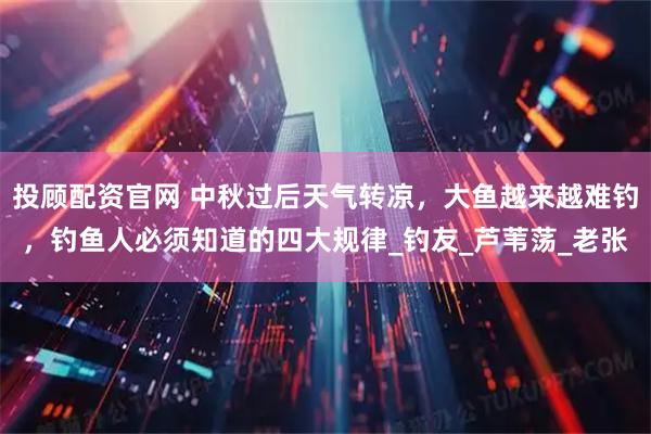投顾配资官网 中秋过后天气转凉，大鱼越来越难钓，钓鱼人必须知道的四大规律_钓友_芦苇荡_老张