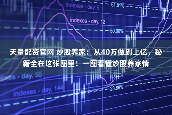 天量配资官网 炒股养家：从40万做到上亿，秘籍全在这张图里！一图看懂炒股养家情
